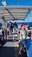 Wir halten Ausschau nach den Delfinen.